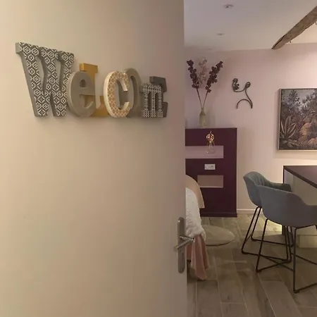 Apartment Coeur De Tres Cosy Parking *